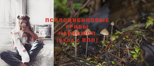 эйфоретик Баксан