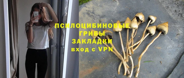 крисы Гусев