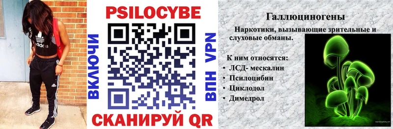 купить   Новоузенск  blacksprut зеркало  Псилоцибиновые грибы MAGIC MUSHROOMS 